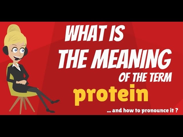 You are currently viewing What is PROTEIN? PROTEIN meaning – PROTEIN definition – How to pronounce PROTEIN
