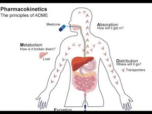 Read more about the article What is Pharmacokinetics? – A simple Introduction!