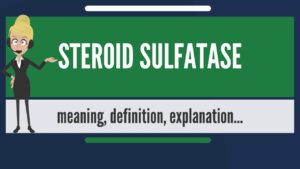 Read more about the article What is STEROID SULFATASE? What does STEROID SULFATASE mean? STEROID SULFATASE meaning & explanation