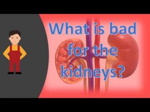 Read more about the article What is bad for the kidneys ?