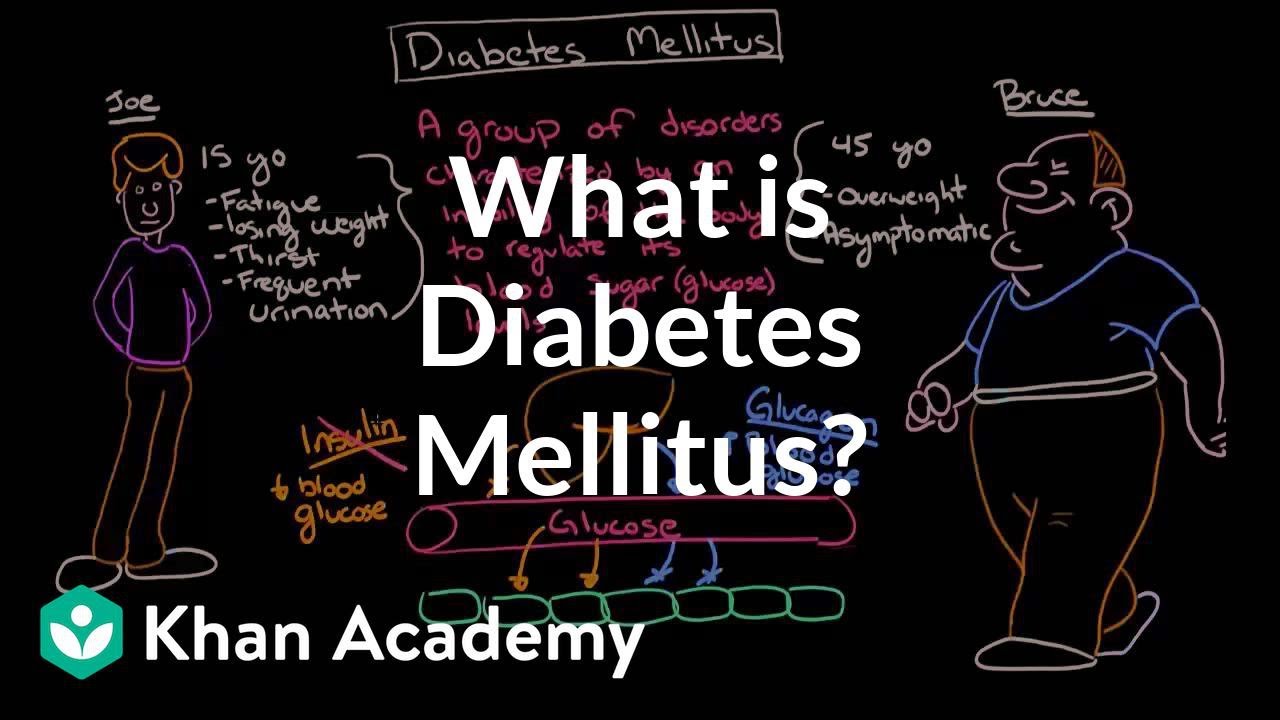 You are currently viewing Endocrine System Diabetes And Asanas Video – 3