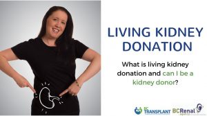 Read more about the article What is living kidney donation and can I be a kidney donor?