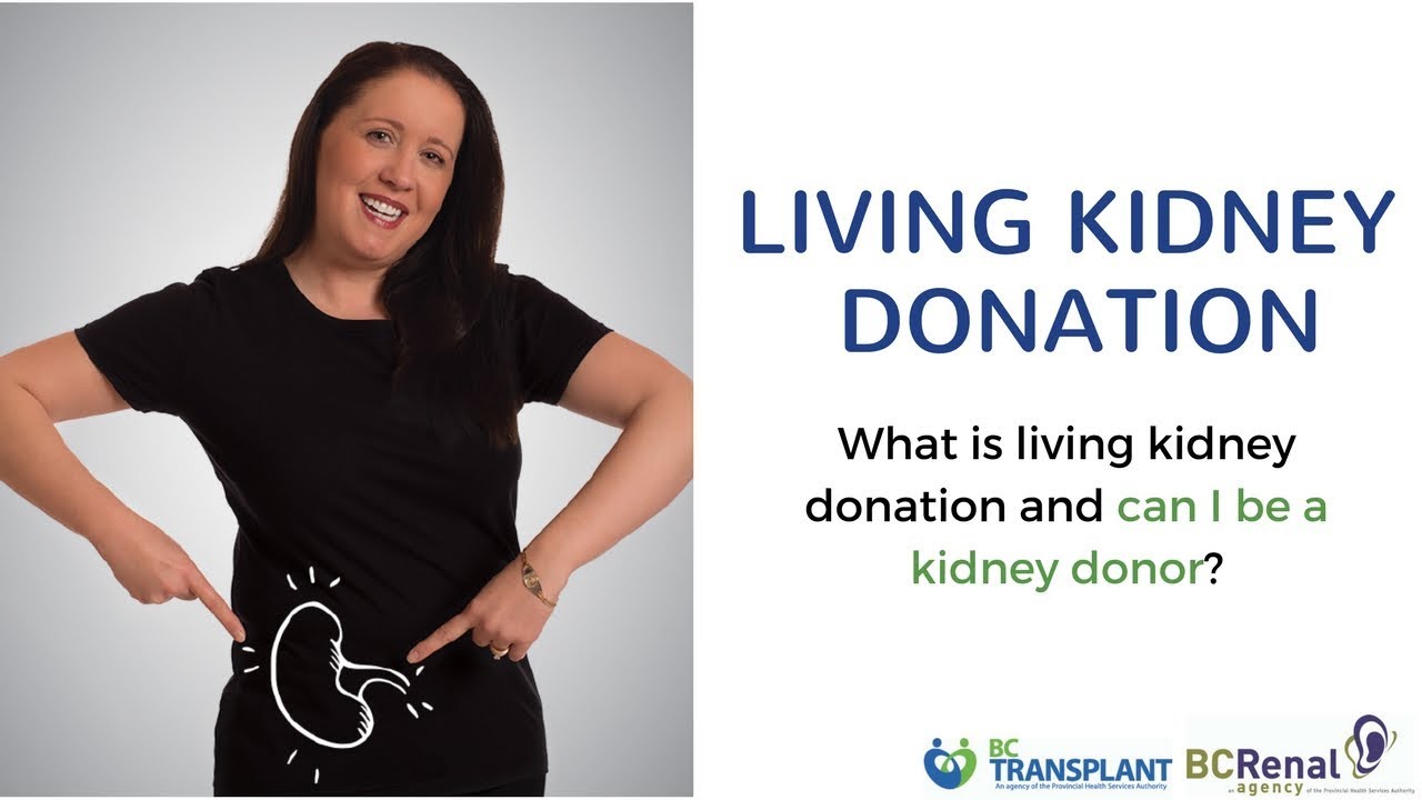 You are currently viewing What is living kidney donation and can I be a kidney donor?
