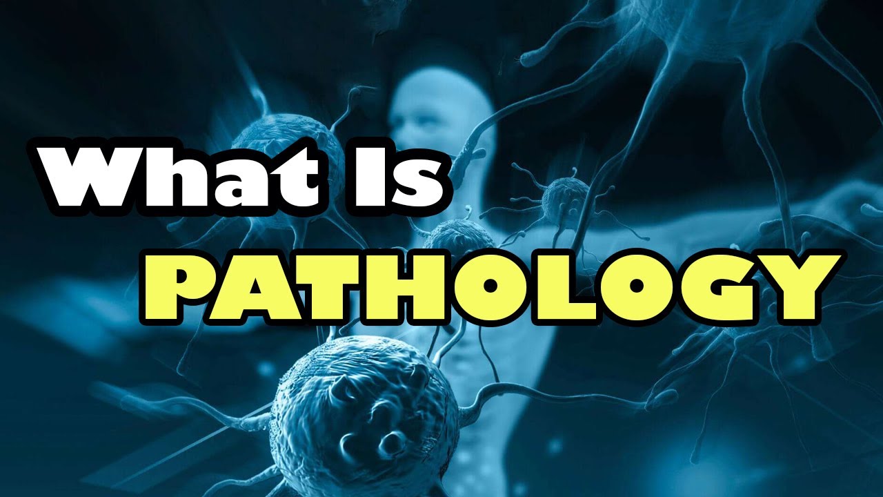You are currently viewing Pathology Video – 1