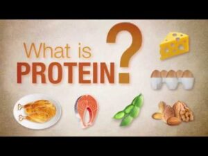 Read more about the article What is protein?