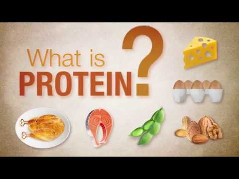 You are currently viewing What is protein?