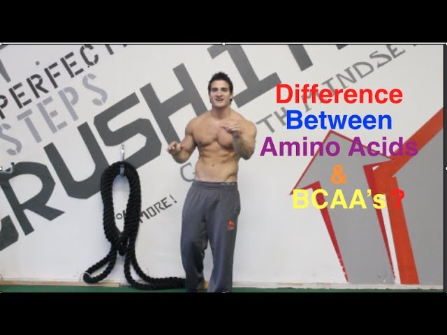 You are currently viewing What is the Difference Between BCAA’s & Amino Acids? And Are They Worth Taking?