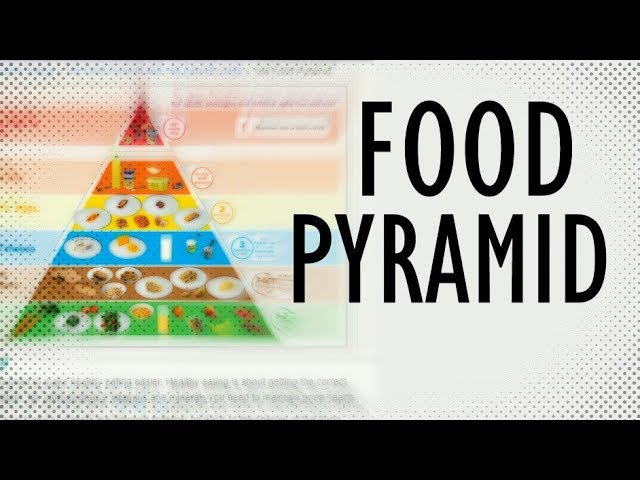 You are currently viewing Food Guide Pyramid Video – 2