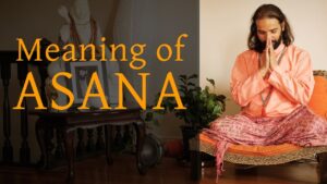 Read more about the article Asanas Meaning And More Asanas Video – 1