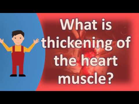 You are currently viewing What is thickening of the heart muscle ?  | Health FAQS | It’s All about your health