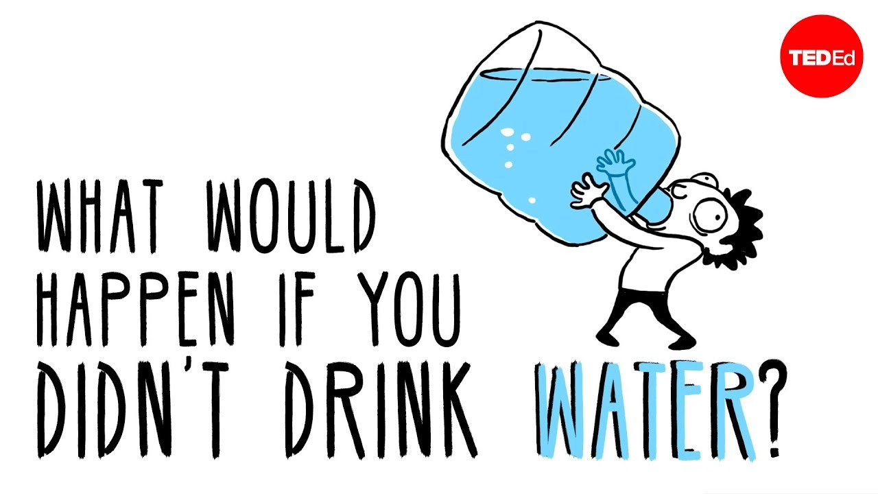 You are currently viewing What would happen if you didn’t drink water? – Mia Nacamulli
