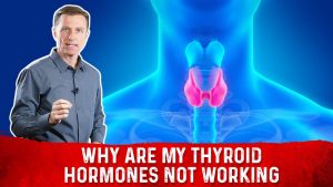 Read more about the article Why Are My Thyroid Hormones Not Working?