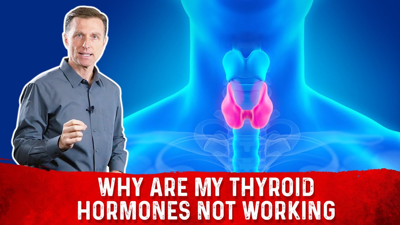 You are currently viewing Why Are My Thyroid Hormones Not Working?