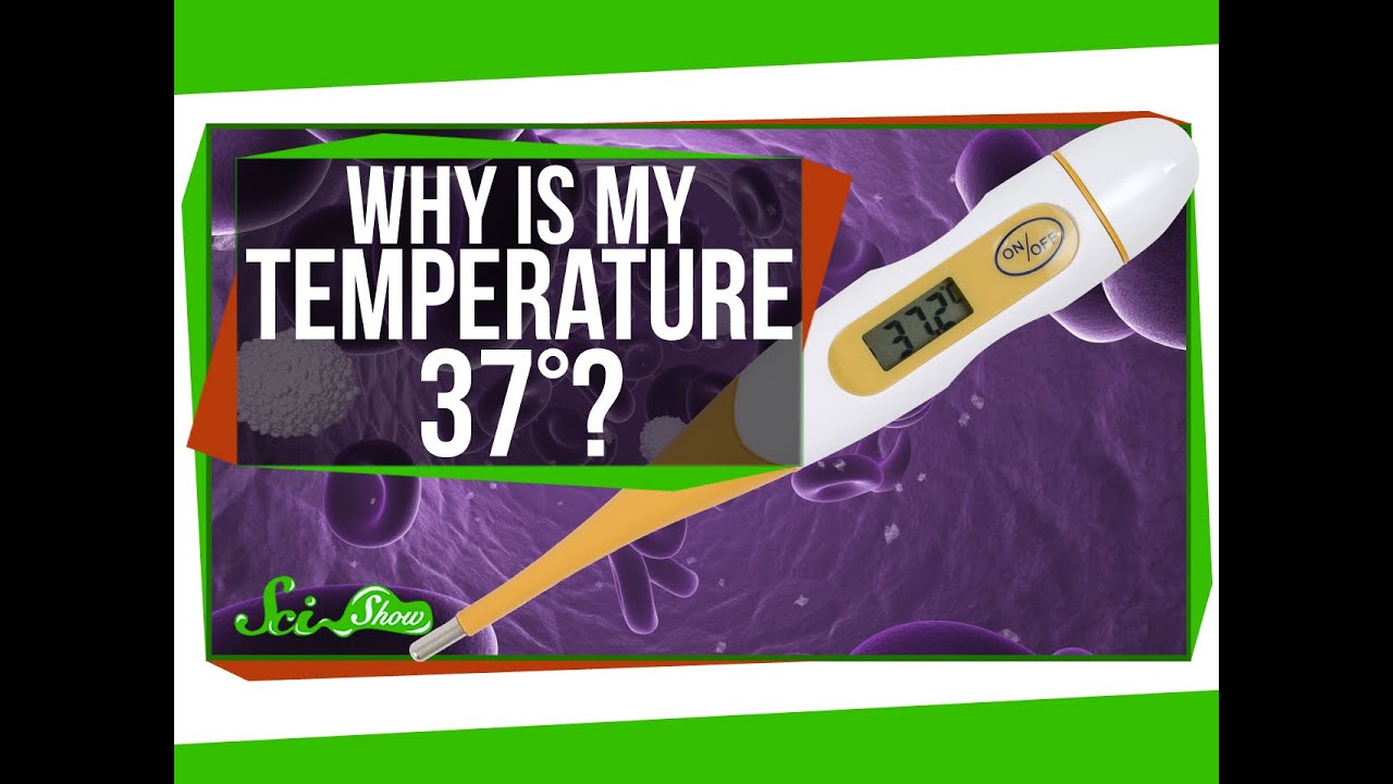 You are currently viewing Why Is My Body Temperature 37 Degrees?