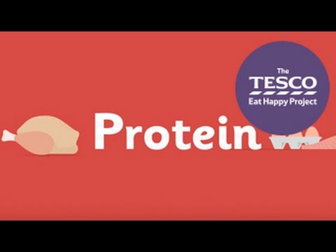 You are currently viewing Why do our bodies need protein?
