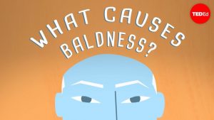 Read more about the article Why do some people go bald? – Sarthak Sinha