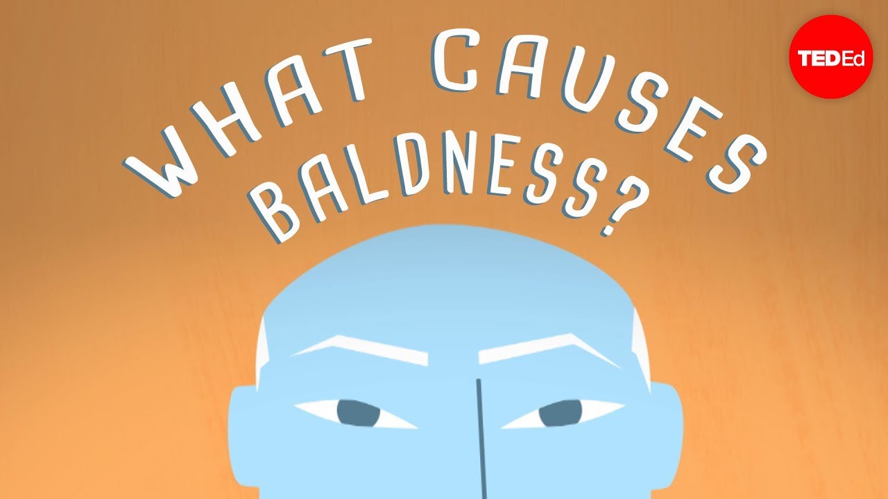 You are currently viewing Why do some people go bald? – Sarthak Sinha