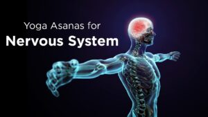 Nerveous System  And Stress Management Asanas Video – 2