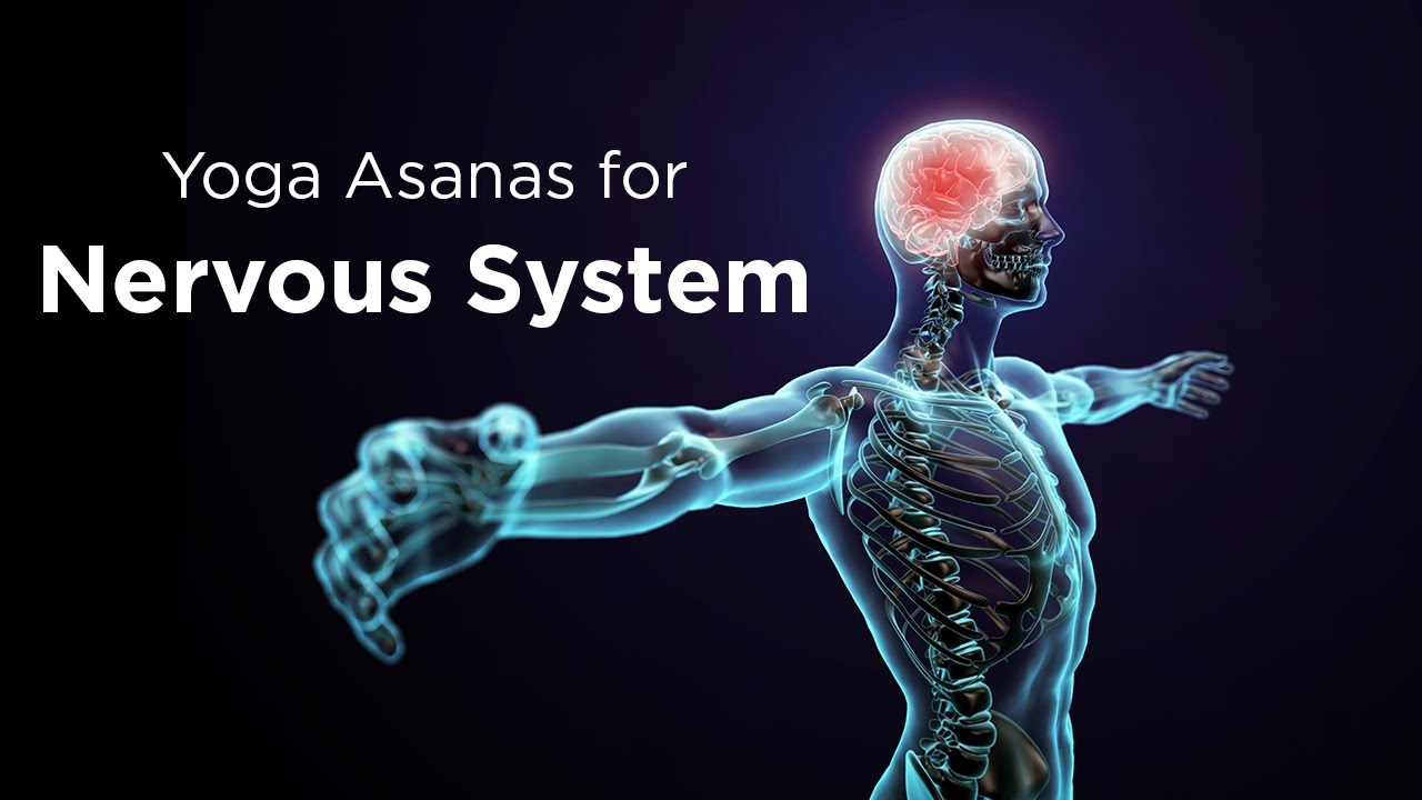 You are currently viewing Nerveous System  And Stress Management Asanas Video – 2