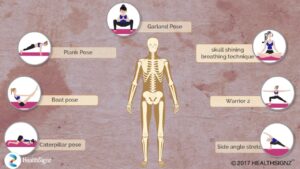 Read more about the article Skeletal System And Asanas Video – 1