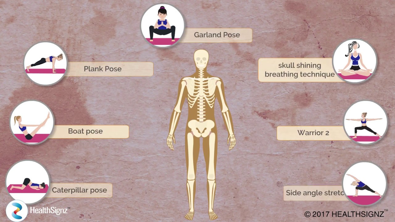 You are currently viewing Skeletal System And Asanas Video – 1