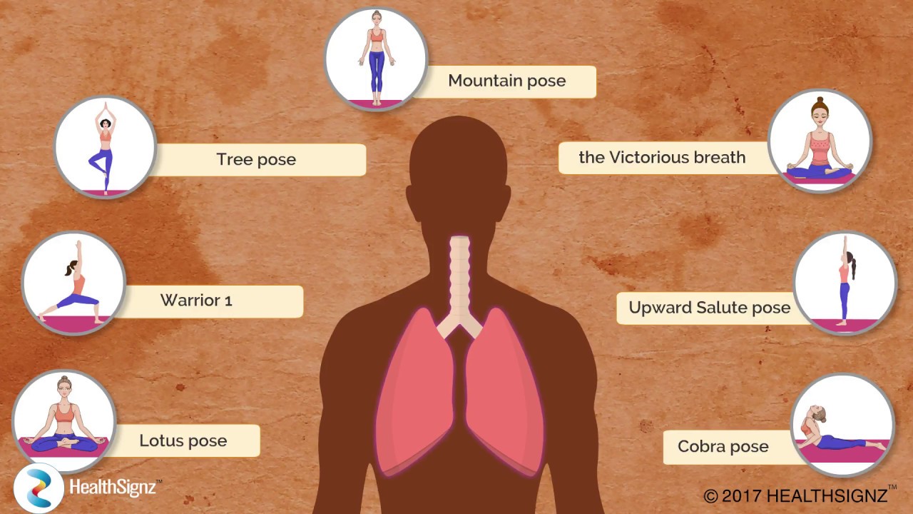 You are currently viewing Respiratory System And Asanas Video – 3