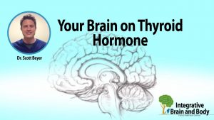 Read more about the article Your Brain On Thyroid Hormone
