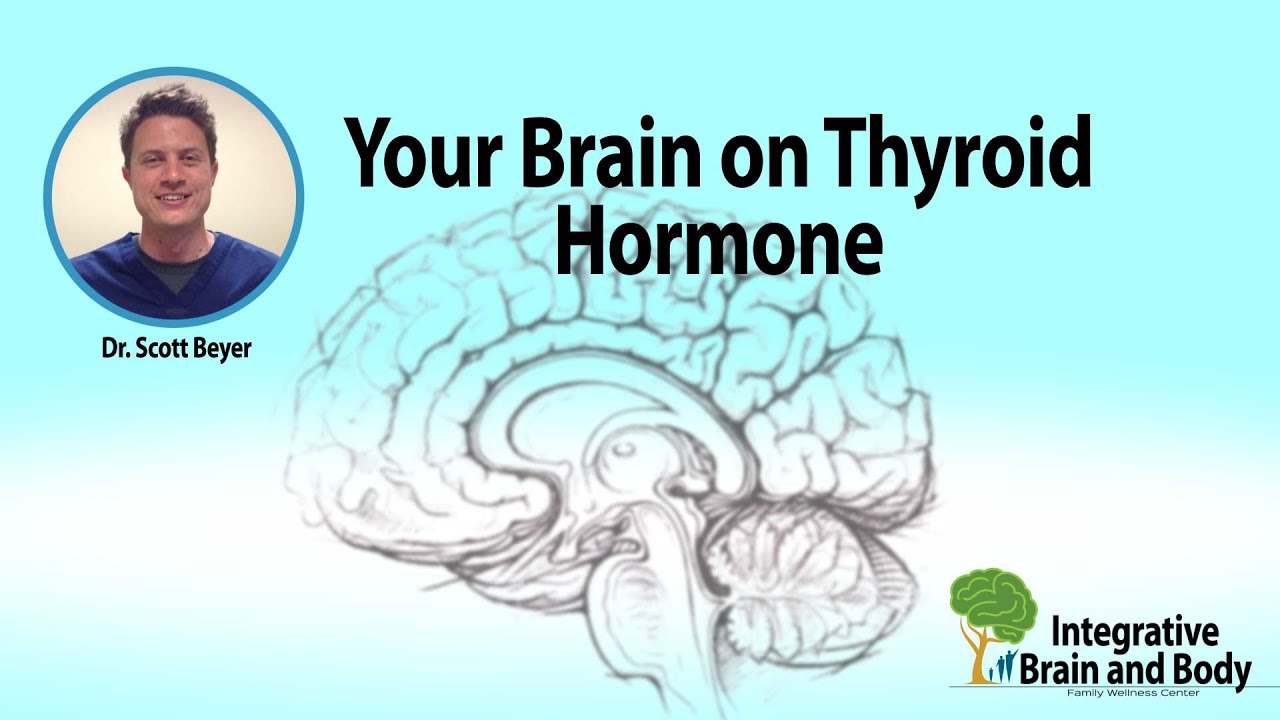 You are currently viewing Your Brain On Thyroid Hormone