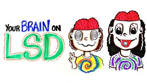 Read more about the article Your Brain on LSD and Acid