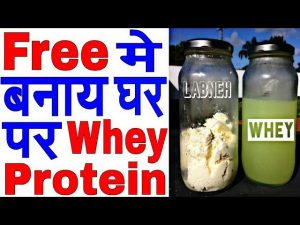 Read more about the article how to make whey protein hindi/whey protein kese bnay/how to make protein powder at home hindi