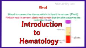 Hematology Video – 3