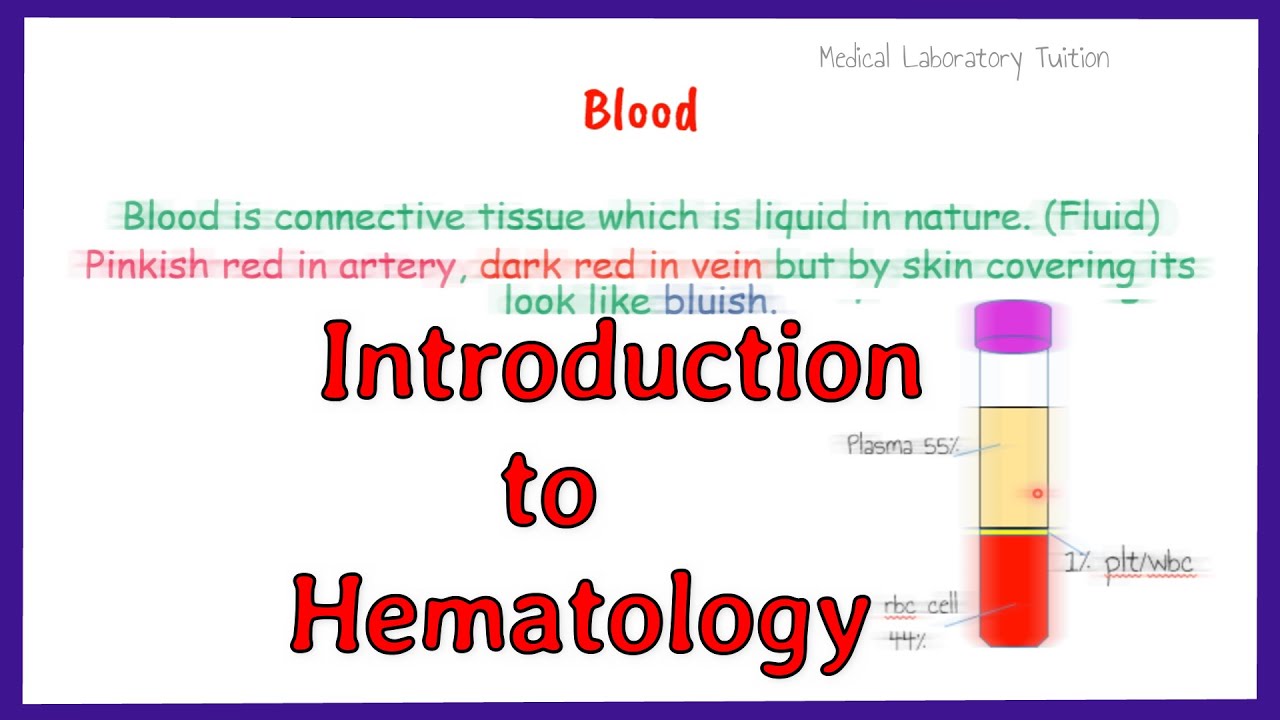 You are currently viewing Hematology Video – 3