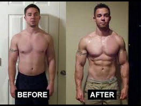 You are currently viewing Testosterone & Androgenic Effects Video – 28