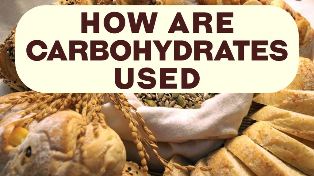 uses of carbohydrates carbohydrates food list carbohydrates uses