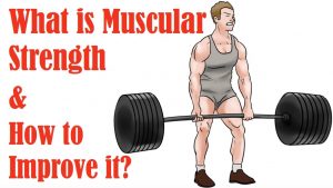 Read more about the article 1.  What is Muscular Strength and How to Improve It