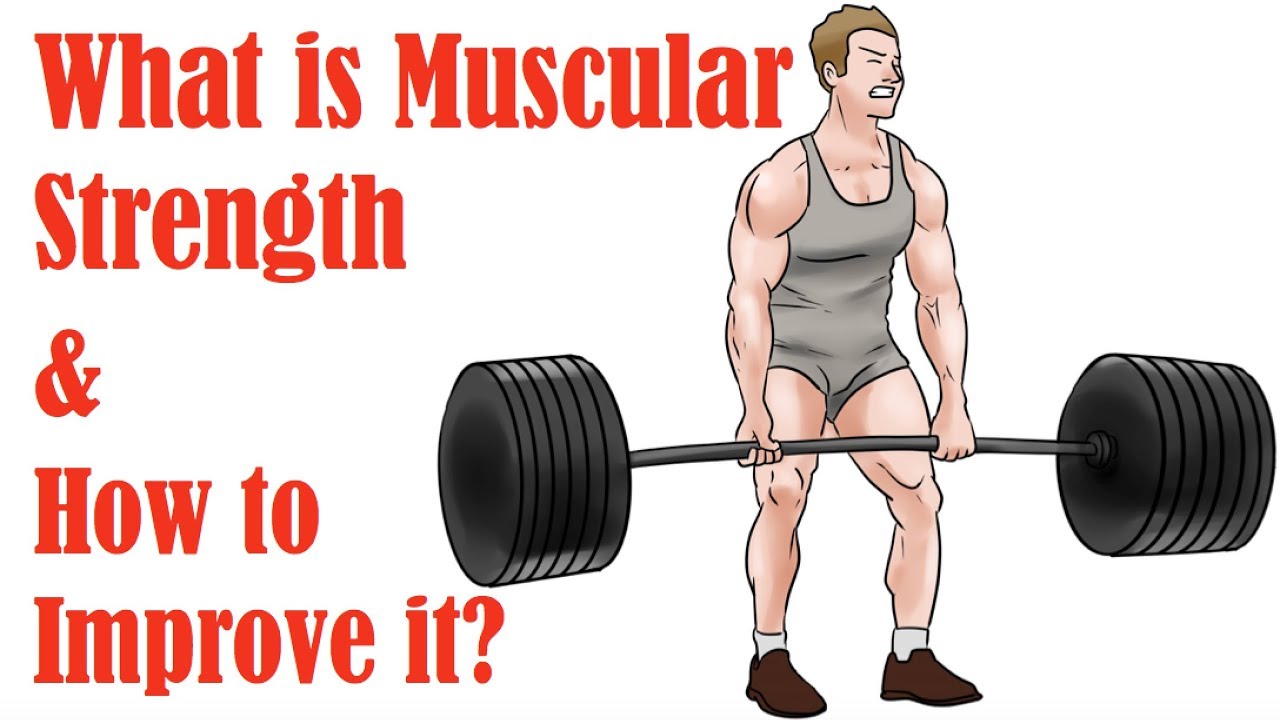 You are currently viewing 1.  What is Muscular Strength and How to Improve It