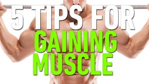 5 tips for gaining muscle – Fitness, Bodybuilding & Nutrition