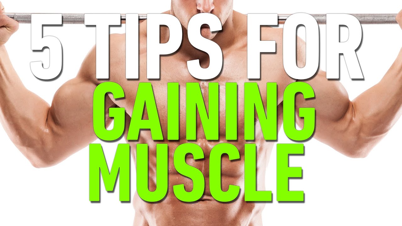 You are currently viewing 5 tips for gaining muscle – Fitness, Bodybuilding & Nutrition