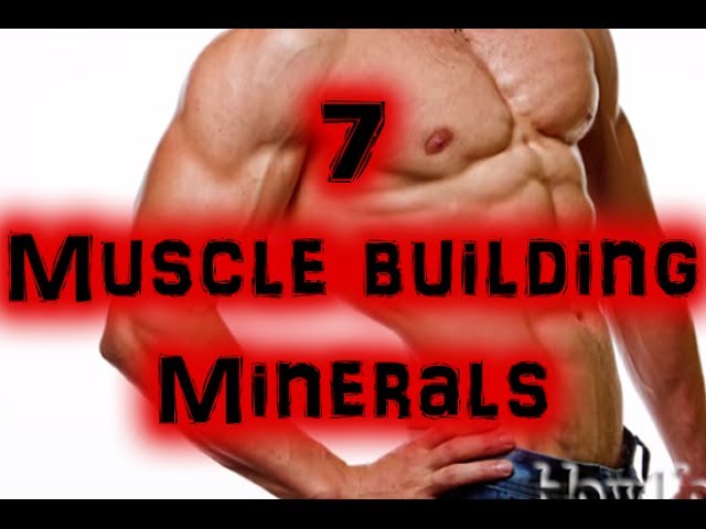 You are currently viewing 7 Best Muscle Building Minerals