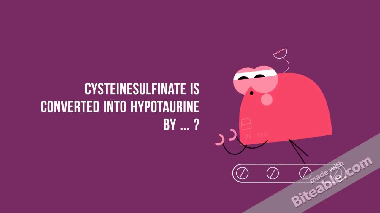 You are currently viewing Amino Acids Catabolism – Cysteine