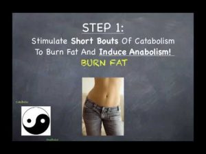 Anabolic and Catabolic Cycles