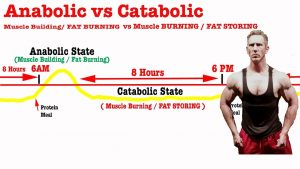 Anabolic vs Catabolic is KEY to FAT LOSS