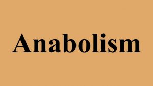 Read more about the article Anabolism
