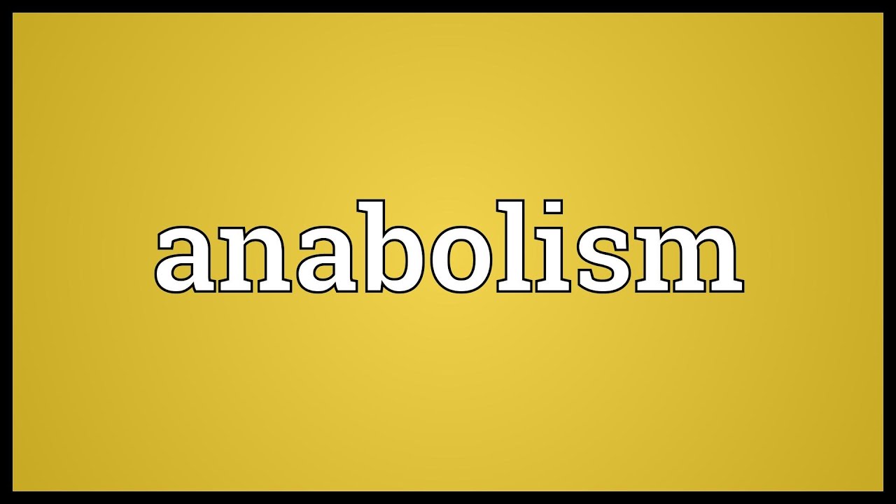 You are currently viewing Anabolism Meaning