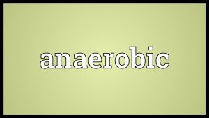 Anaerobic Meaning