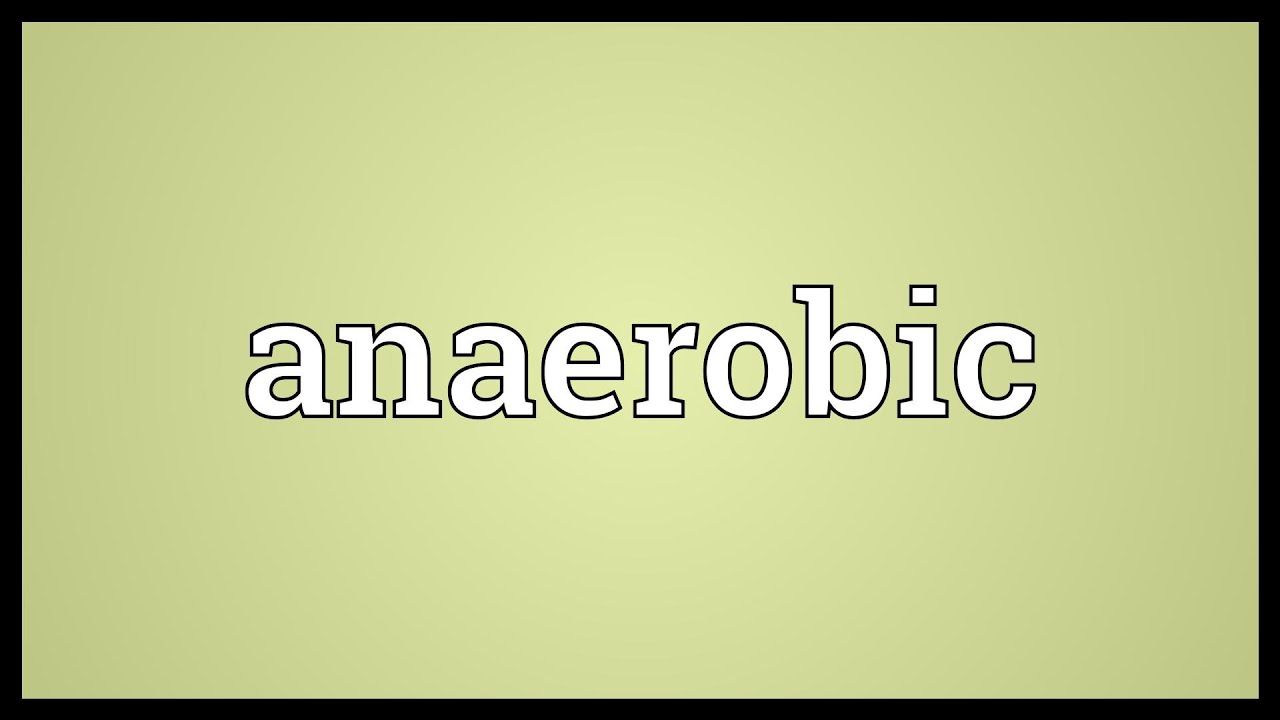 You are currently viewing Anaerobic Meaning