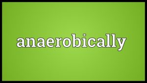 Anaerobically Meaning