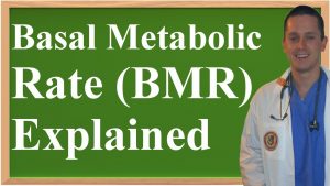 Read more about the article Basal Metabolic Rate (BMR) Explained