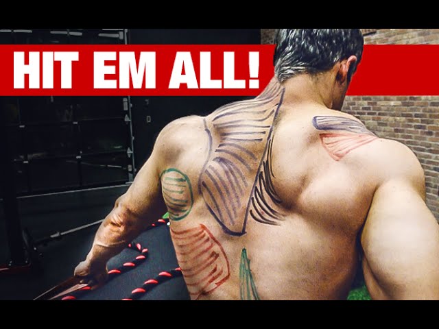 You are currently viewing Best Back Workout Video Ever (HIT EVERY MUSCLE!!)