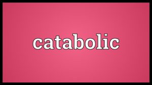 Read more about the article Catabolic Meaning
